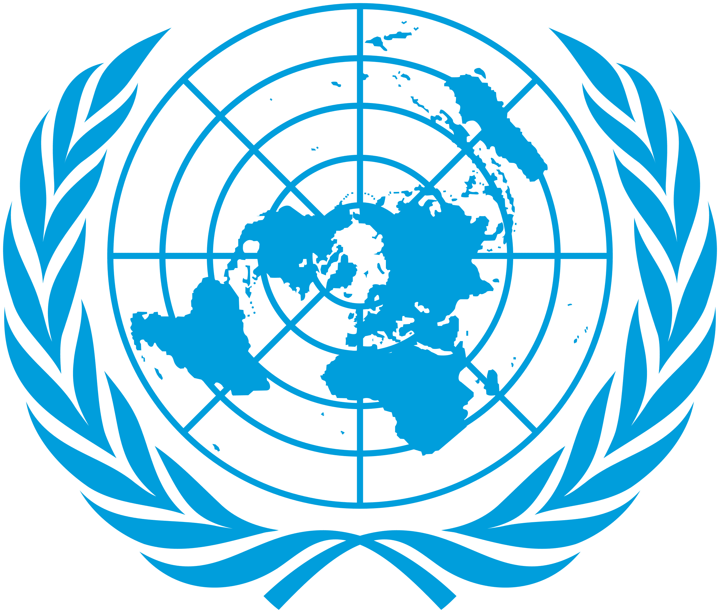 NGO 1